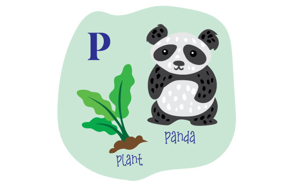 Alphabet Infographic P for School Crafts